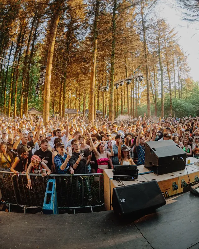 DnB Allstars x Woodland Dance Project: Golden-hour pines towering over a packed crowd, seen from stage